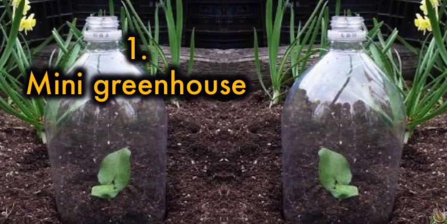 Sie verwendet leere Plastikflaschen im Garten. Sieh dir nur mal diese