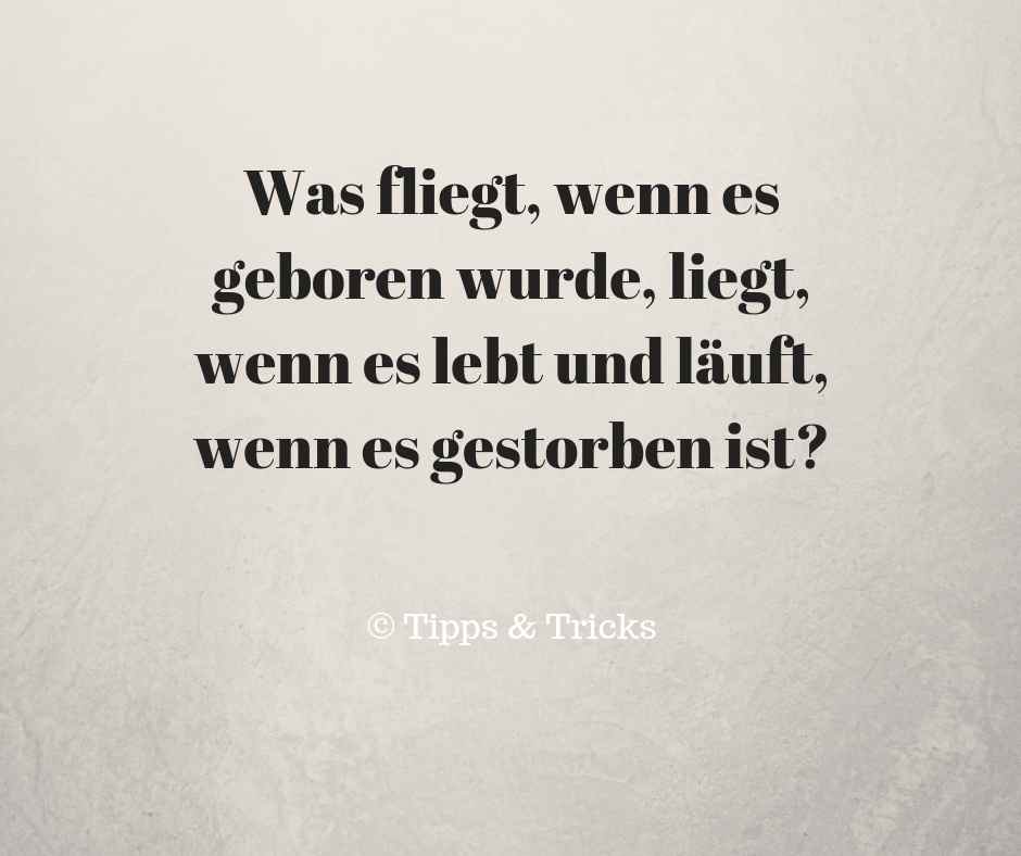 Nur Wenige Erwachsene Kommen Auf Die Richtige Losung Dieser 10 Ratsel Seite 2 Von 3